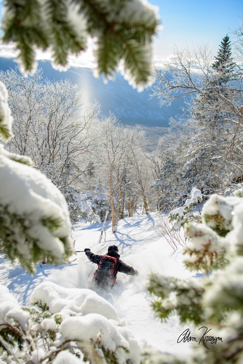 Dancing in the Trees