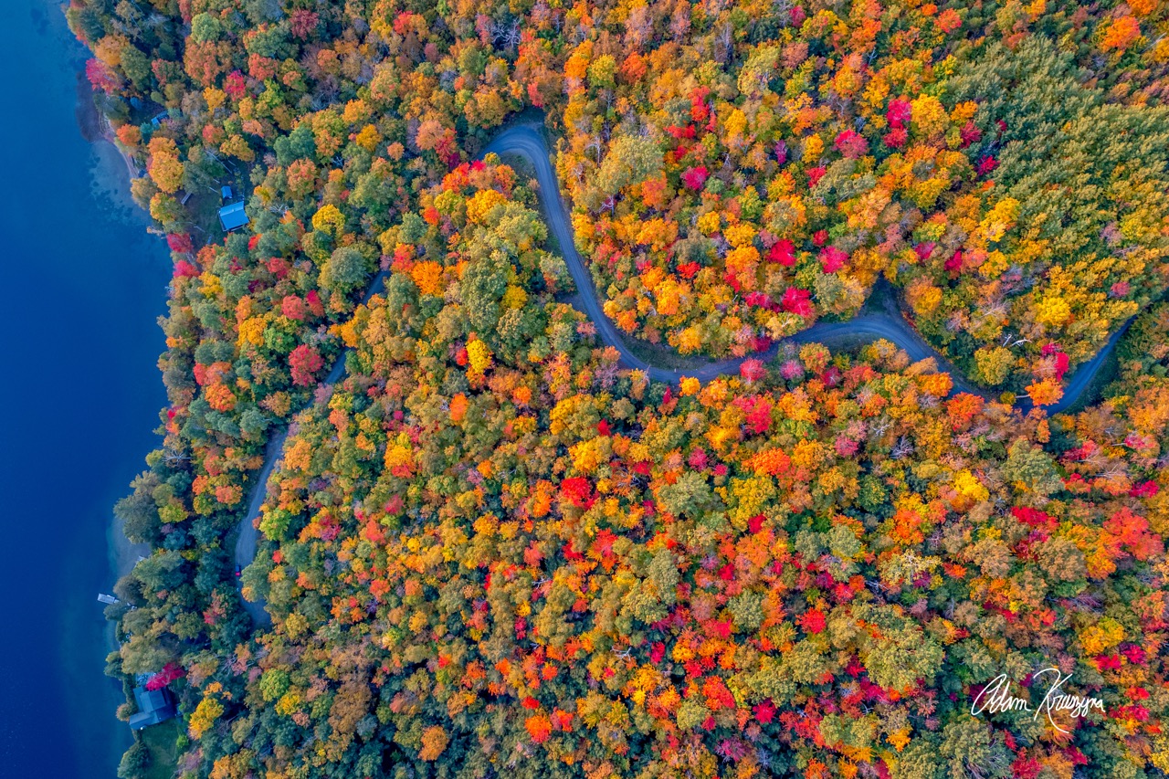 The Driveway - Fall Edition