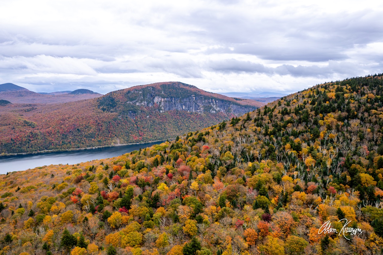 A Golden Forest above Willoughby