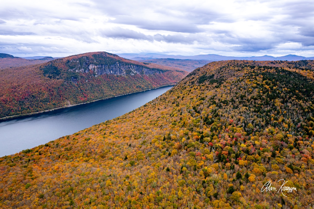A Golden Forest above Willoughby.2