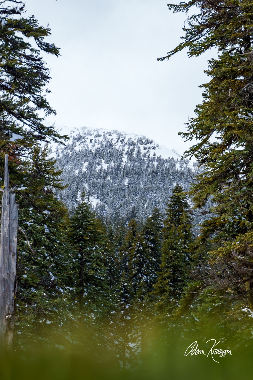 Pelican Butte Layers