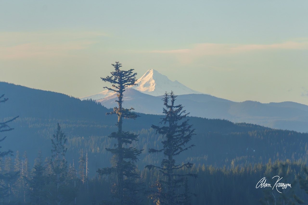Mount Hood from Helen's