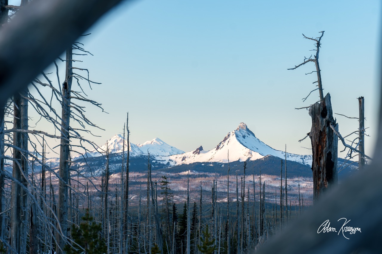 The Cascade Project 2024